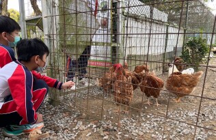 全校校外教學-桃園農場(20250303):全校校外教學34