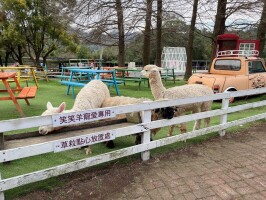 全校校外教學-桃園農場(20250303):全校校外教學6